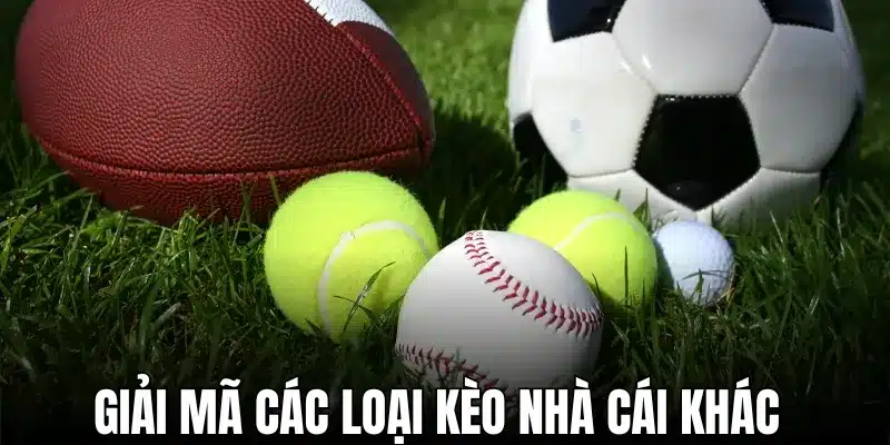 Đa dạng loại hình kèo nhà cái hấp dẫn