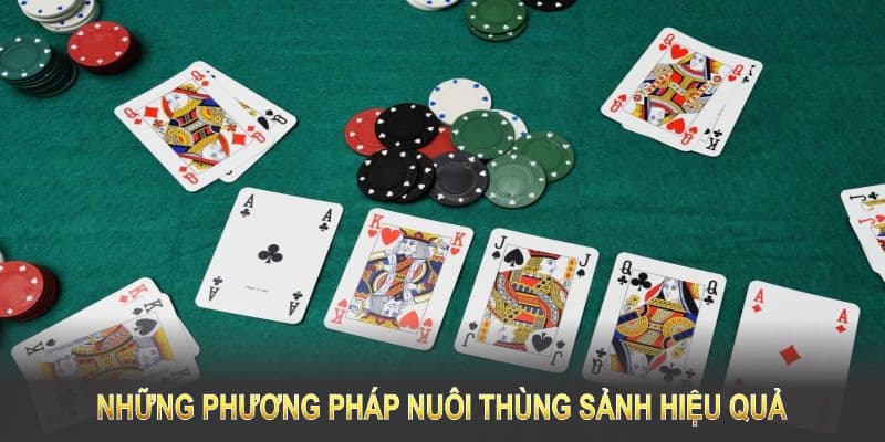 Những phương pháp nuôi thùng sảnh hiệu quả cùng 88clb